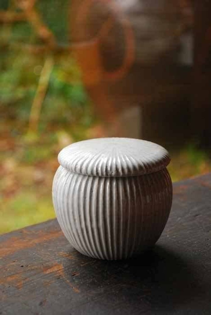 壷田夫妻が選んだ高千穂での暮らし―陶芸と自然が紡ぐ人生